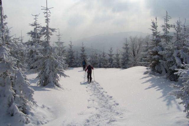 Polen und Tschechien - Winterwanderung mit Schneeschuhen
