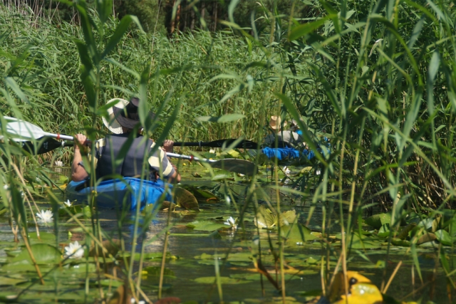 Polen - Mit dem Boot unterwegs im Drawienski-Nationalpark