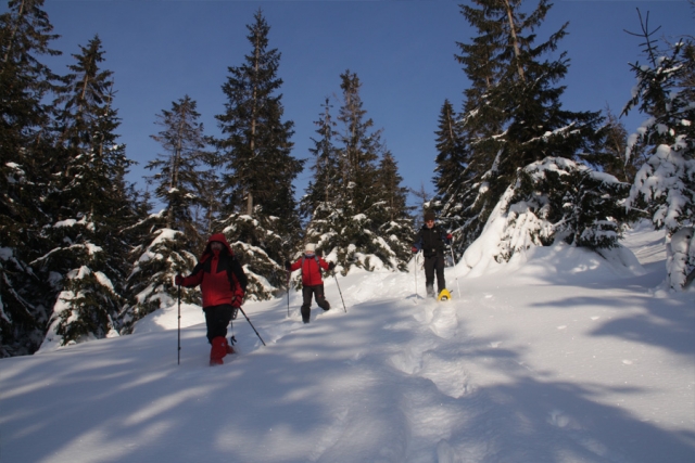 Polen und Tschechien - Winterwandern mit Schneeschuhen