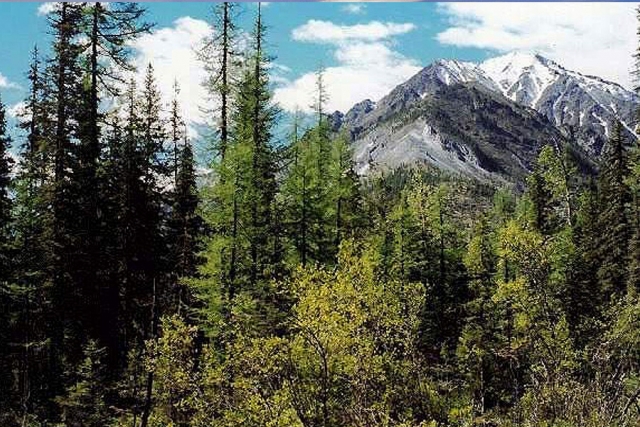 Russland - Natur pur am Baikal