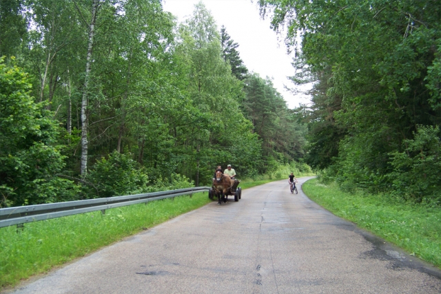 Polen und Weißrussland - unterwegs im Wald der Wisente