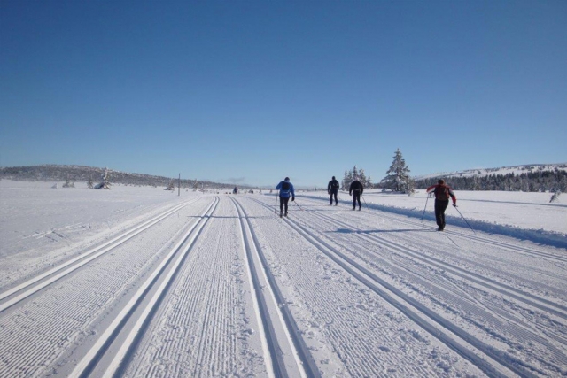 Norwegen - Skimarathon Birkebeinerrennet