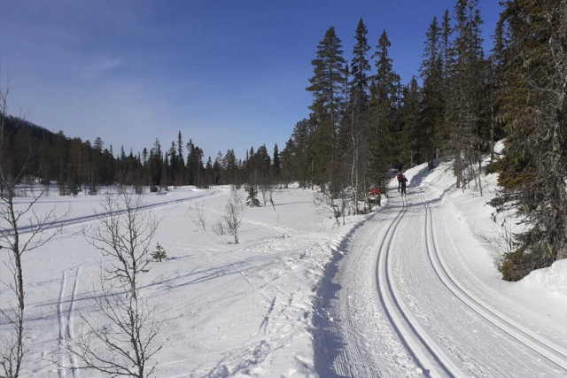 Schweden - 100. Vasaloppet 2024