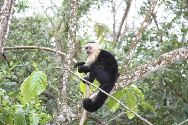 Costa Rica - ein Naturparadies erleben