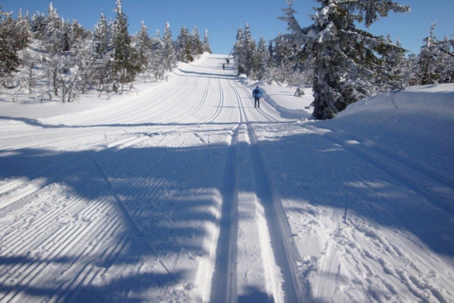 Norwegen - Birkebeinerrennet und Skilaufen in der Hardangervidda