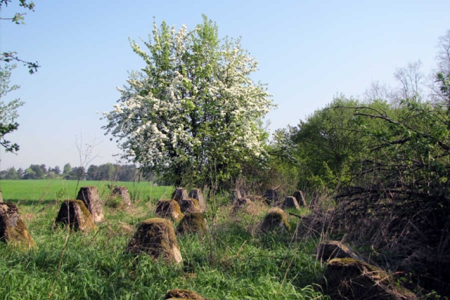 Polen - Gruppenreise Lubuski-Seenplatte