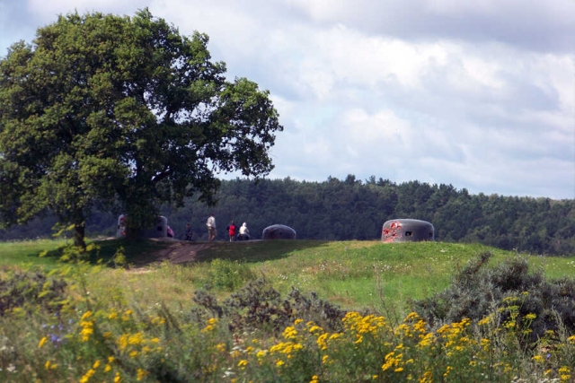 Polen - Gruppenreise Lubuski-Seenplatte