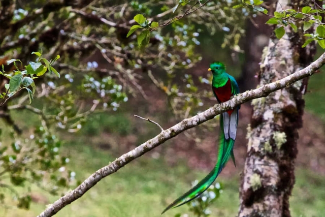 Costa Rica - ein Naturparadies erleben