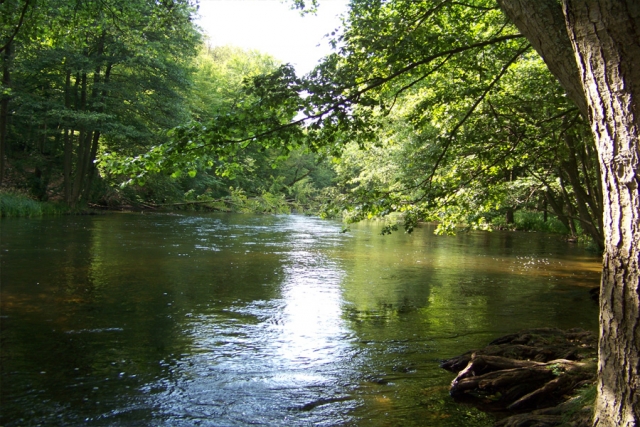 Polen - Mit dem Boot unterwegs im Drawienski-Nationalpark