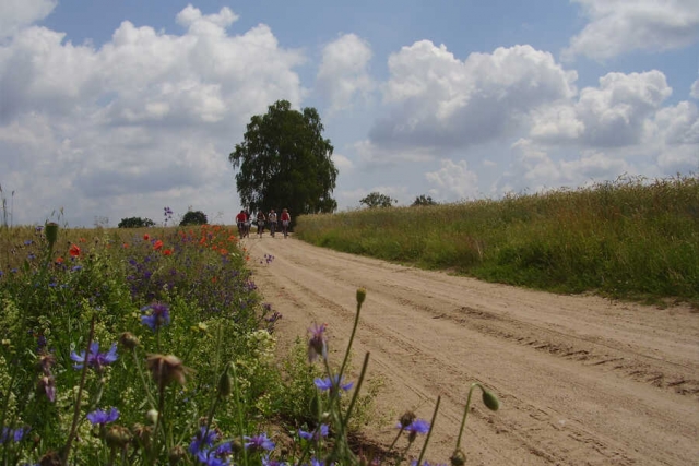 Polen - mit dem Fahrrad die Masurische Seenplatte erleben