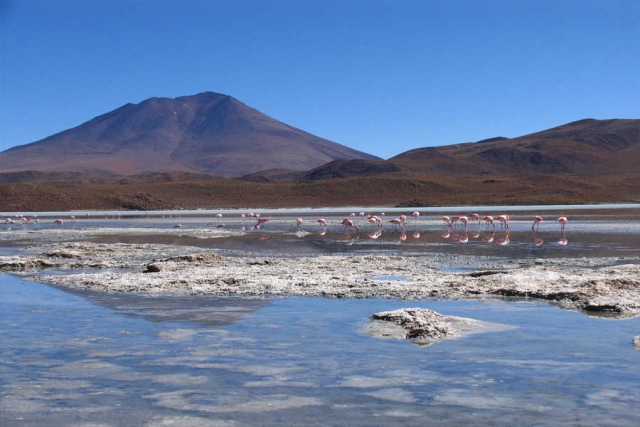 Bolivien - Die Höhepunkte des Andenlandes