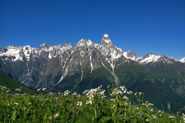 Georgien - Unterwegs im Kaukasus