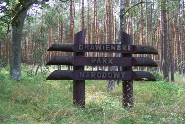 Polen - Mit dem Boot unterwegs im Drawienski-Nationalpark