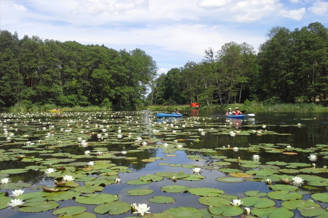 Polen - unterwegs durch tiefe Wälder und auf stillen Seen
