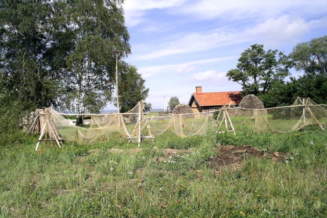 Estland, Lettland und Litauen - das Baltikum per Rad erleben