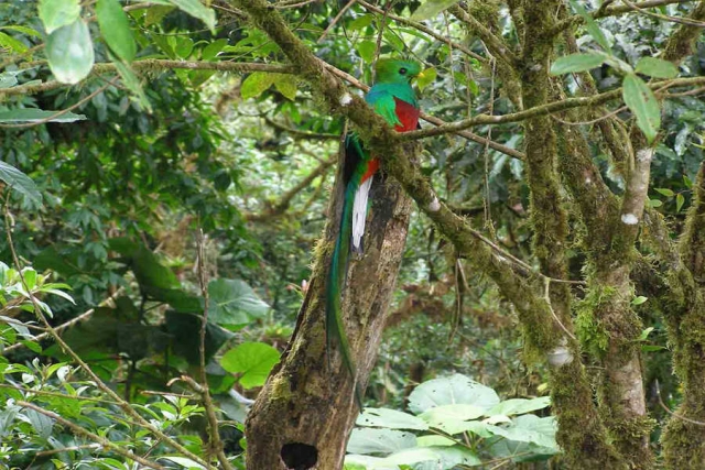 Costa Rica - ein Naturparadies erleben