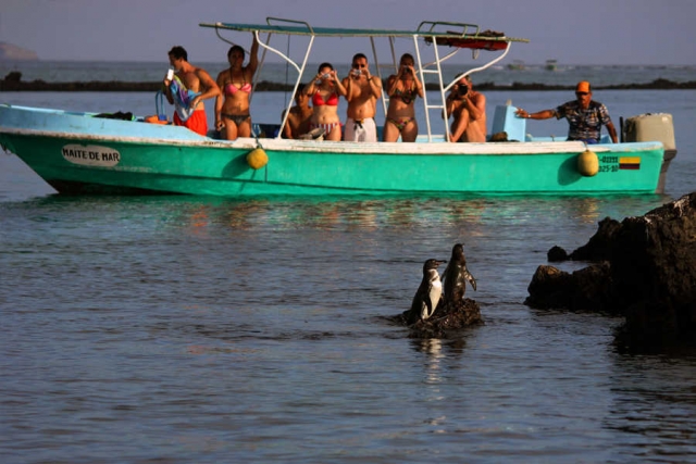 Galapagos-Verlängerungsprogramme zu den Ecuador-Reisen