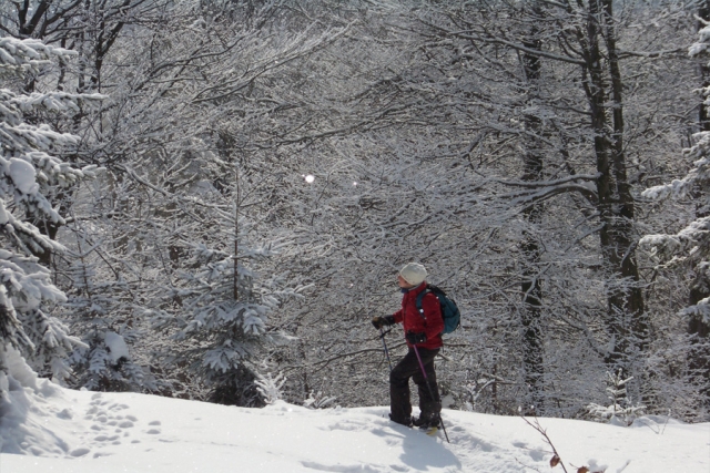 Polen und Tschechien - Winterwandern mit Schneeschuhen