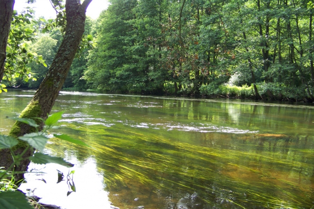 Polen - Mit dem Boot unterwegs im Drawienski-Nationalpark