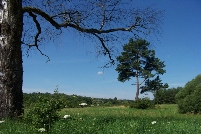 Polen - Aktiv unterwegs durch Masuren