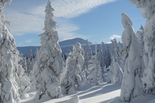 Polen und Tschechien - mit Schneeschuhen durch Rübezahls Reich