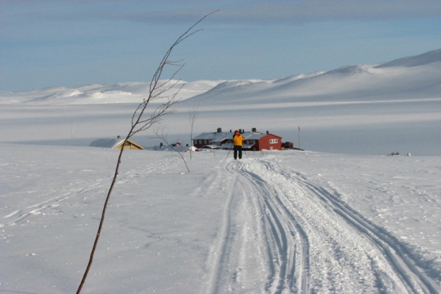 Norwegen - Birkebeinerrennet und Skilaufen in der Hardangervidda