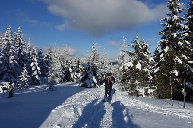 Polen und Tschechien - Winterwandern mit Schneeschuhen