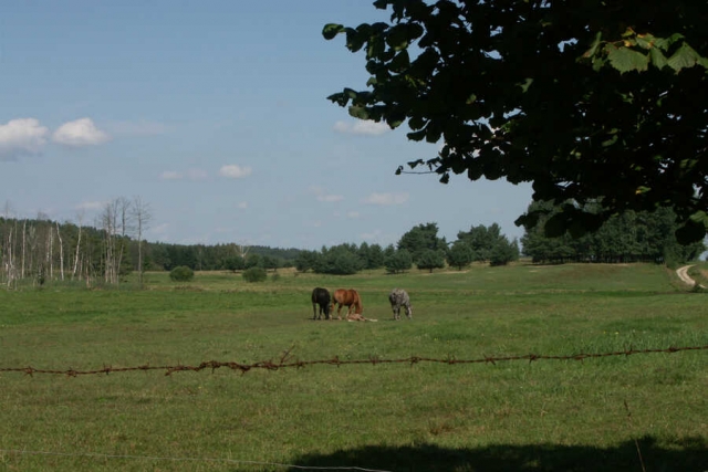 Polen - mit dem Fahrrad die Masurische Seenplatte erleben