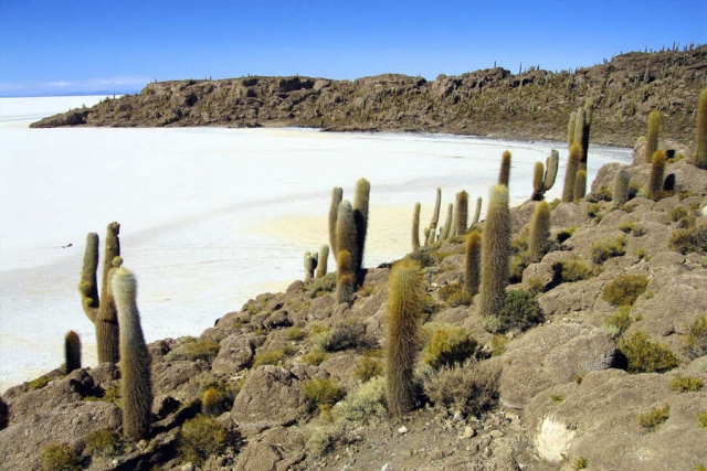 Bolivien - Die Höhepunkte des Andenlandes