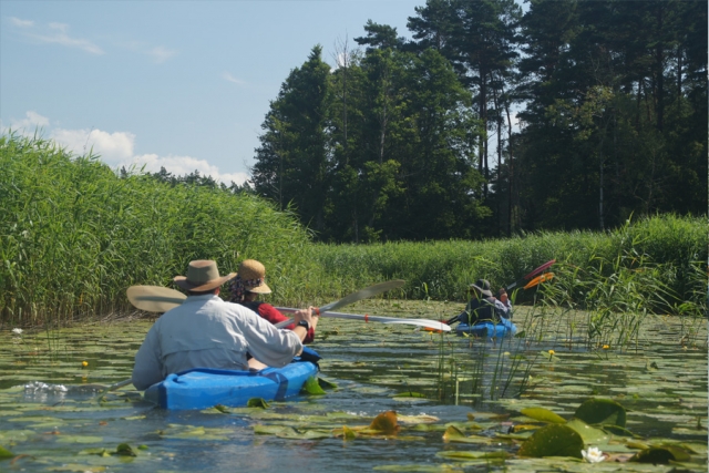 Polen - Mit dem Boot unterwegs im Drawienski-Nationalpark