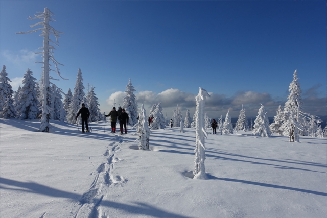 Polen und Tschechien - Winterwandern mit Schneeschuhen