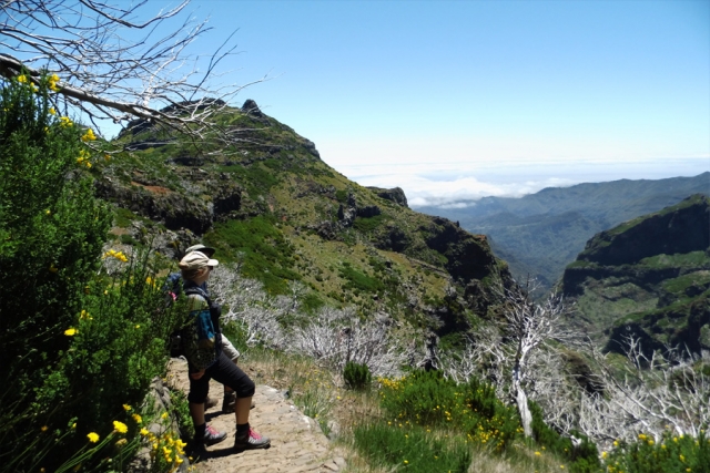 Portugal - Wanderreise und Baden auf den Inseln Madeira und Porto Santo