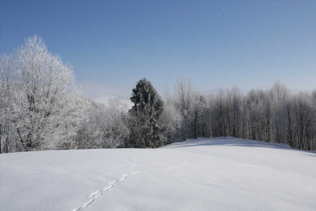 Rumänien - Winter-Erlebnisreise