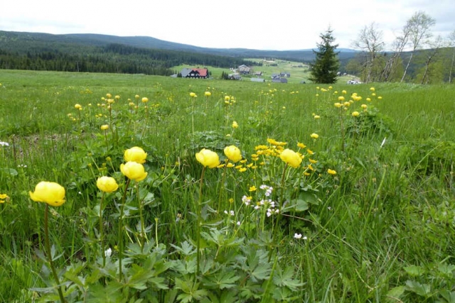 Polen & Tschechien - zu Fuß durch die Bergwelt der Sudeten