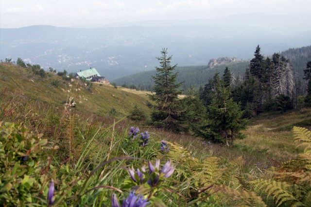 Polen & Tschechien - zu Fuß durch die Bergwelt der Sudeten