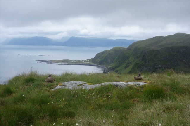 Norwegen - Wanderrundreise zwischen Fjorden und Fjells