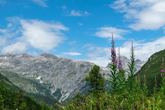 Deutschland-Österreich-Italien: Alpenüberquerung