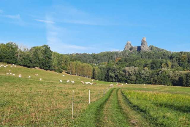 Tschechien - Bier- und Wanderreise in Nordböhmen