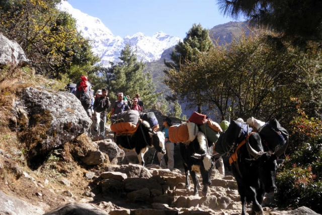 Nepal - Unterwegs im Herzen des Himalaya