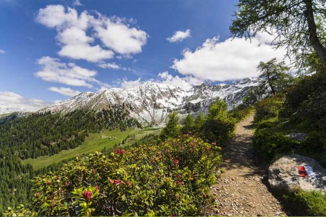 Deutschland-Österreich-Italien: alpine Alpenüberquerung