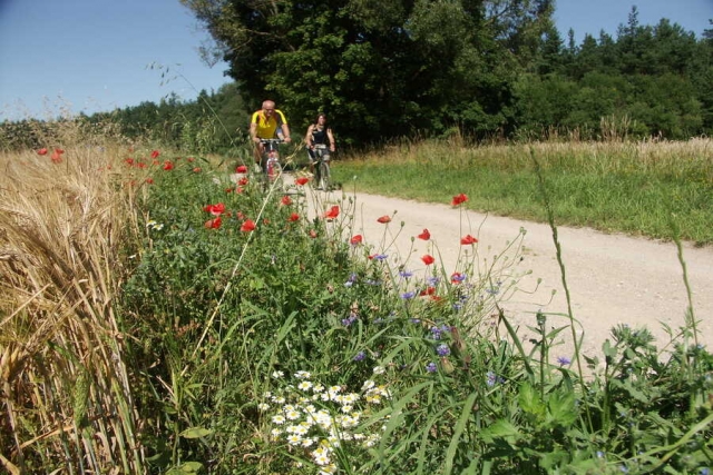 Polen & Litauen – Natur-, Kultur- & Fahrradreise