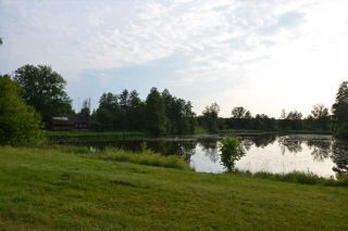Polen - unterwegs im Wald der Wisente