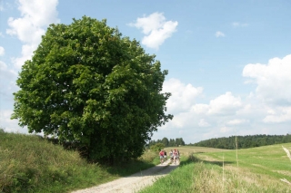 Polen - mit dem Fahrrad die Masurische Seenplatte erleben