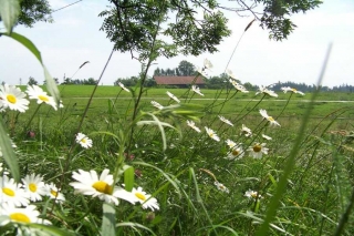 Polen & Litauen – Natur-, Kultur- & Fahrradreise