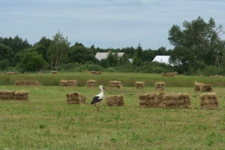 Polen & Litauen – Natur-, Kultur- & Fahrradreise