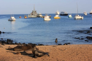 Galapagos-Verlängerungsprogramme zu den Ecuador-Reisen