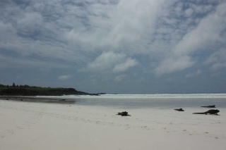 Galapagos-Verlängerungsprogramme zu den Ecuador-Reisen