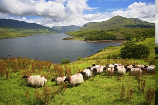 Irland - Wandern ohne Gepäck
