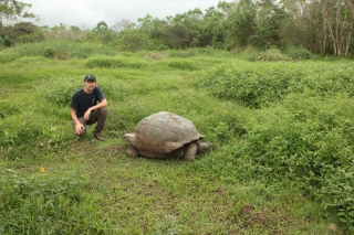 Galapagos-Verlängerungsprogramme zu den Ecuador-Reisen