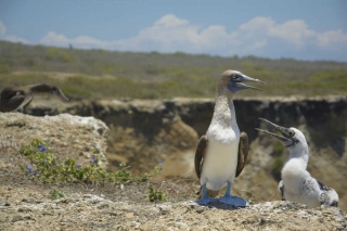 Erlebnis- und Wander-Rundreise Ecuador